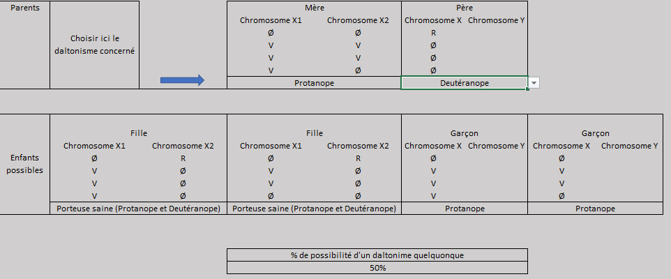 Schéma : mère et père daltoniens